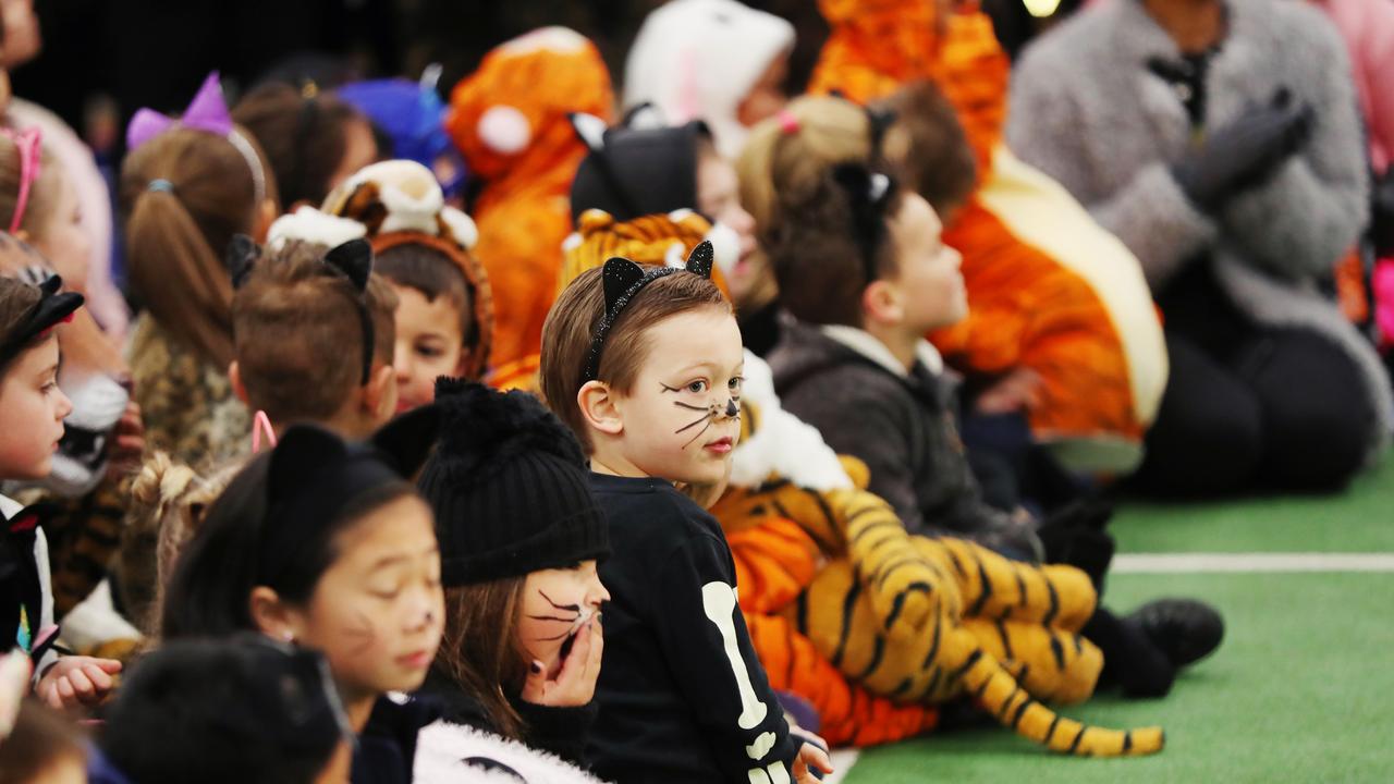 Students dressed as bees in a TVPS production