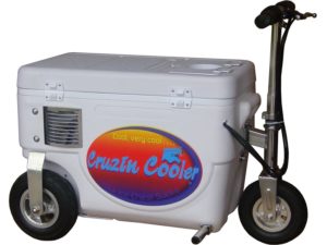 Cruzin Cooler Electric Scooter